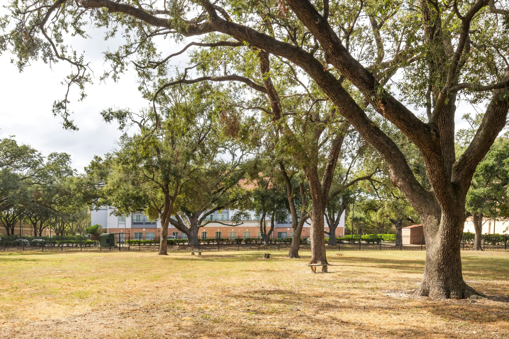Photo - Spark by Hilton Houston West Clay Road