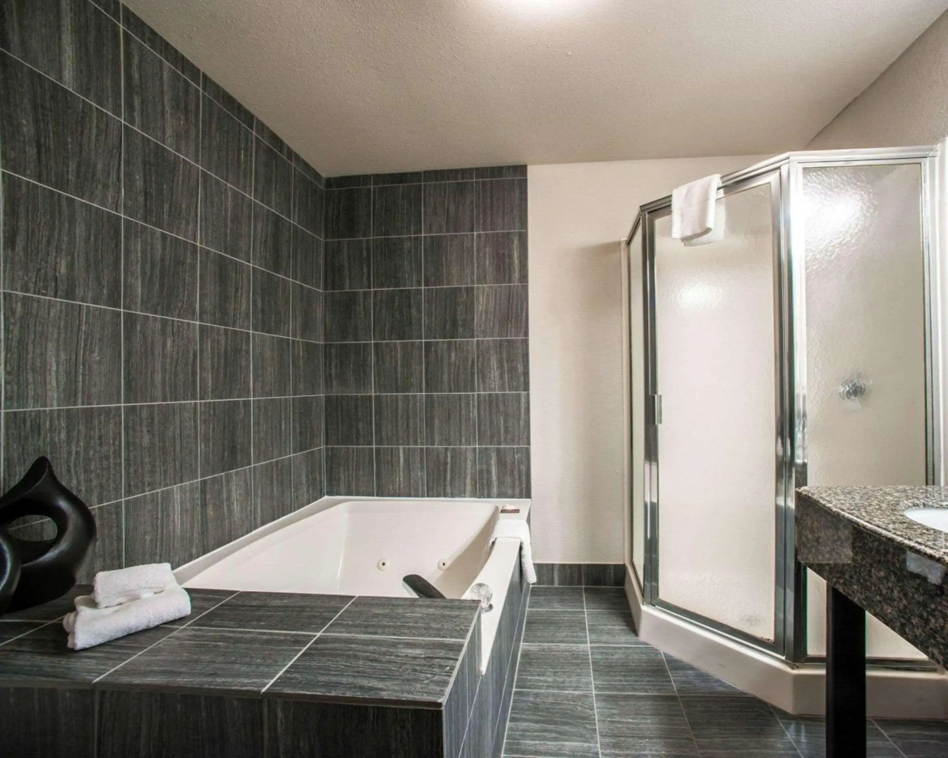 Foto - Comfort Suites Nashville Airport - BNA