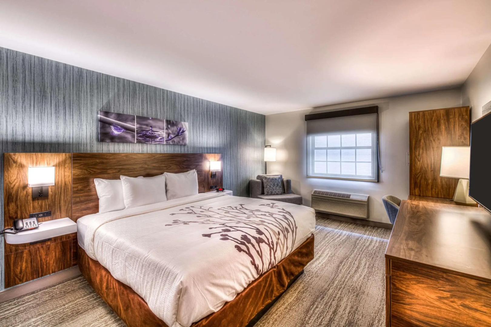 Foto - Sleep Inn Oakbrook Terrace - Chicago