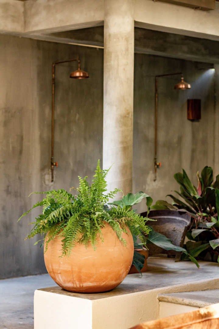 Photo - Raíz Hotel Boutique