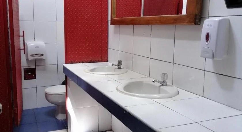 Foto - Flying Dog Hostel
