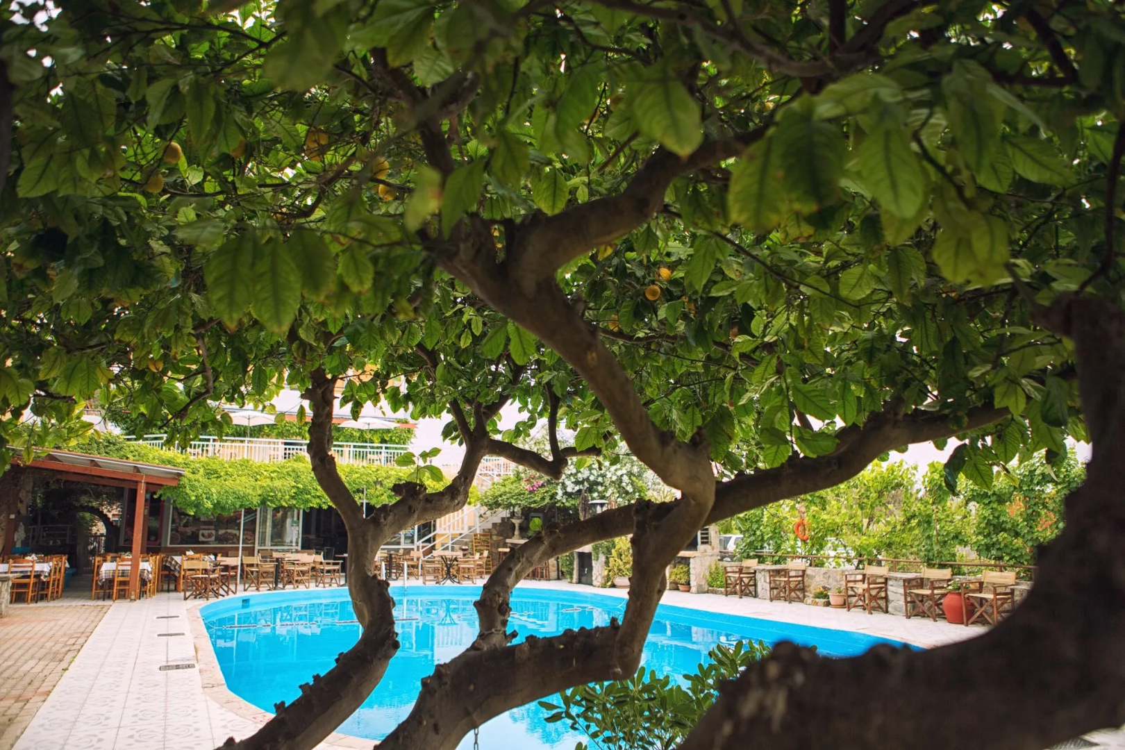 Foto - Roxani Hotel
