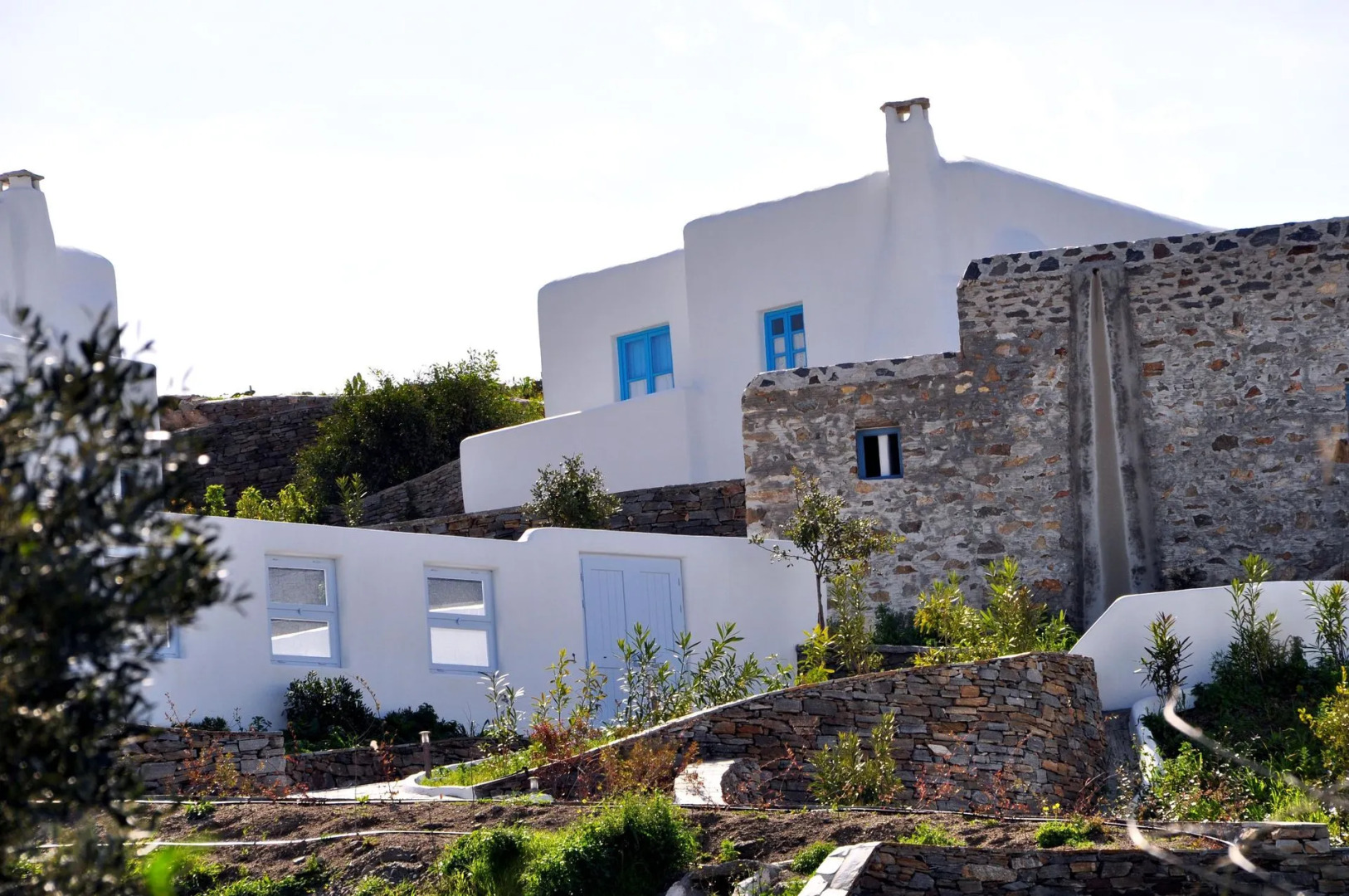 Photo - Belogna Ikons