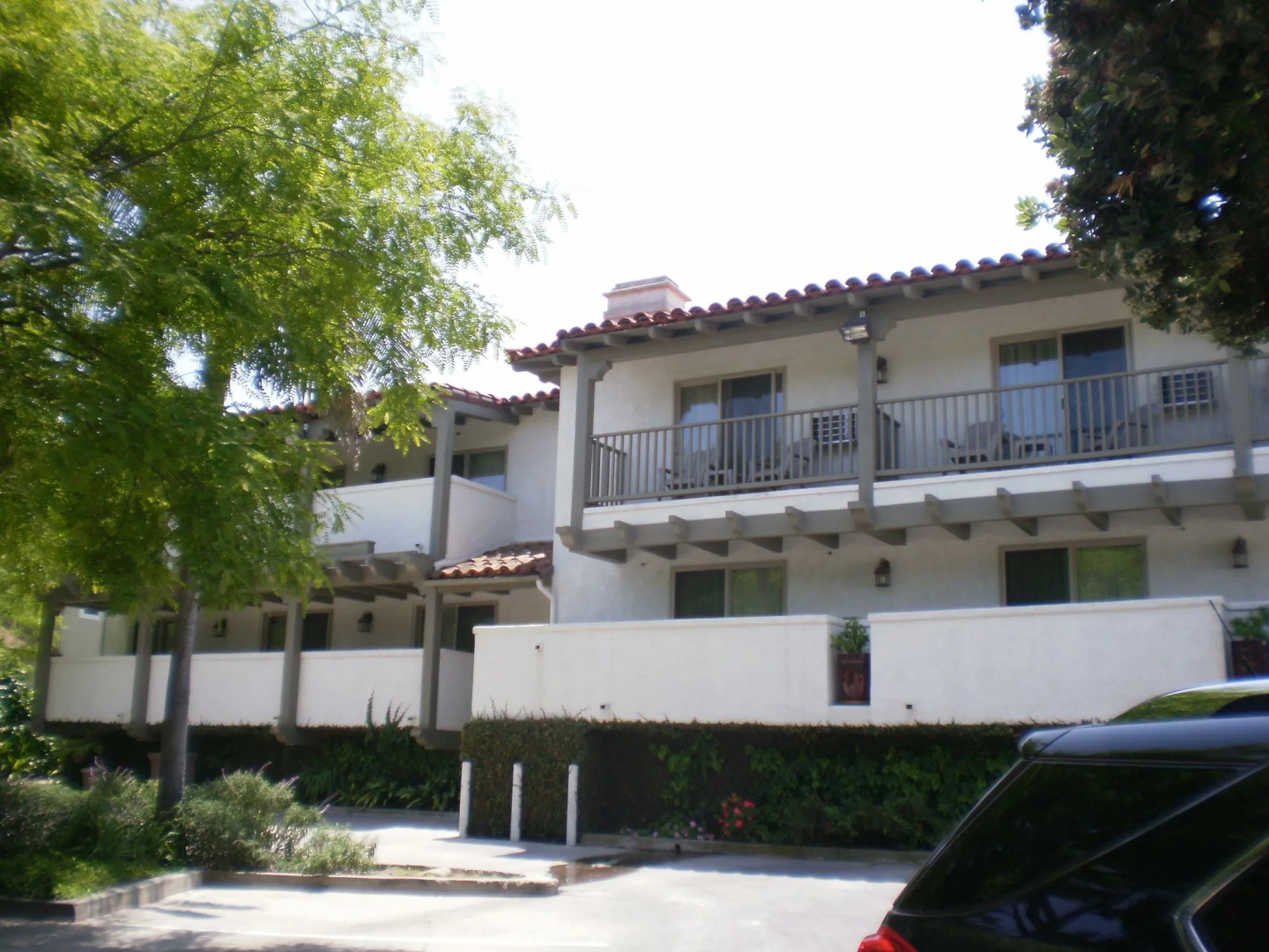 Photo - Palmoro House