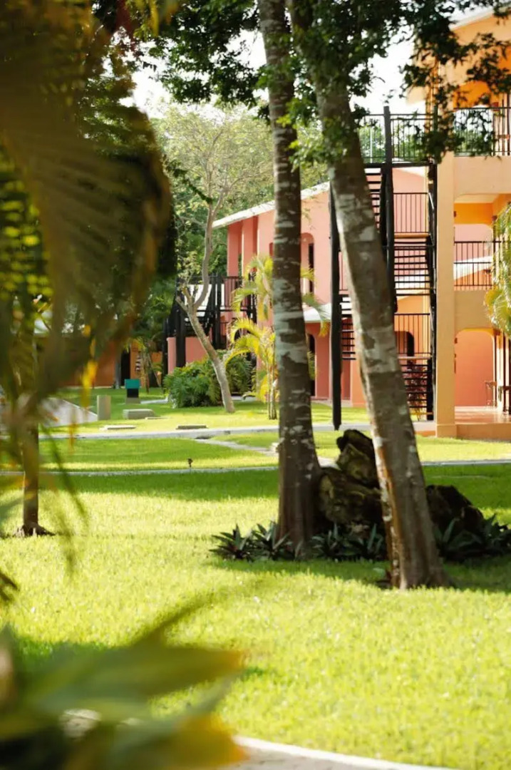 Foto - Riu Lupita - All Inclusive