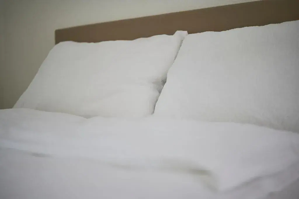 Foto - Hotel Artist