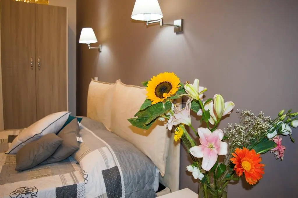 Foto - Roema Guest House