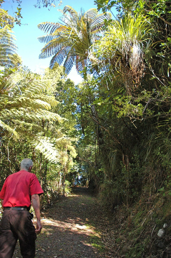 Foto - Waitakere Resort & Spa