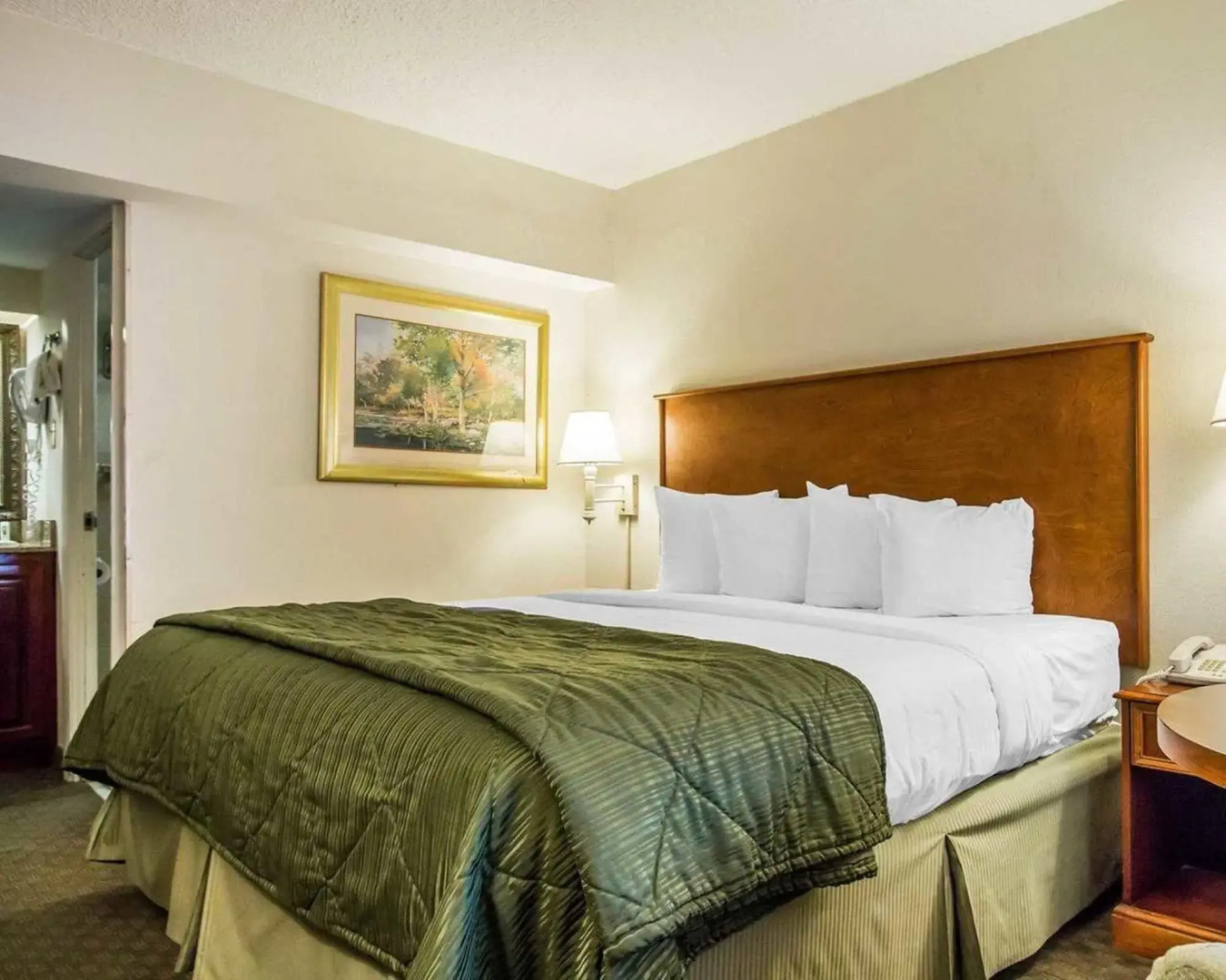 Foto - Quality Inn Savannah Historic District