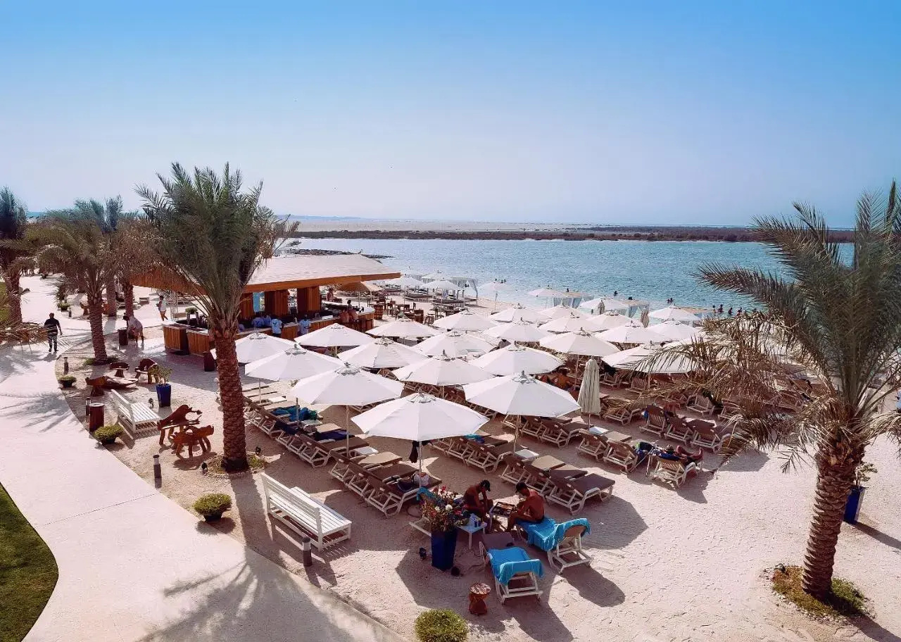 Photo - Yas Plaza Marina