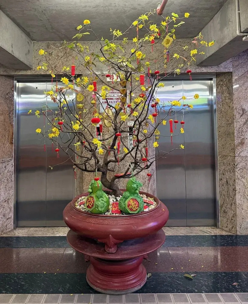 Photo - Thiên Tài Hotel