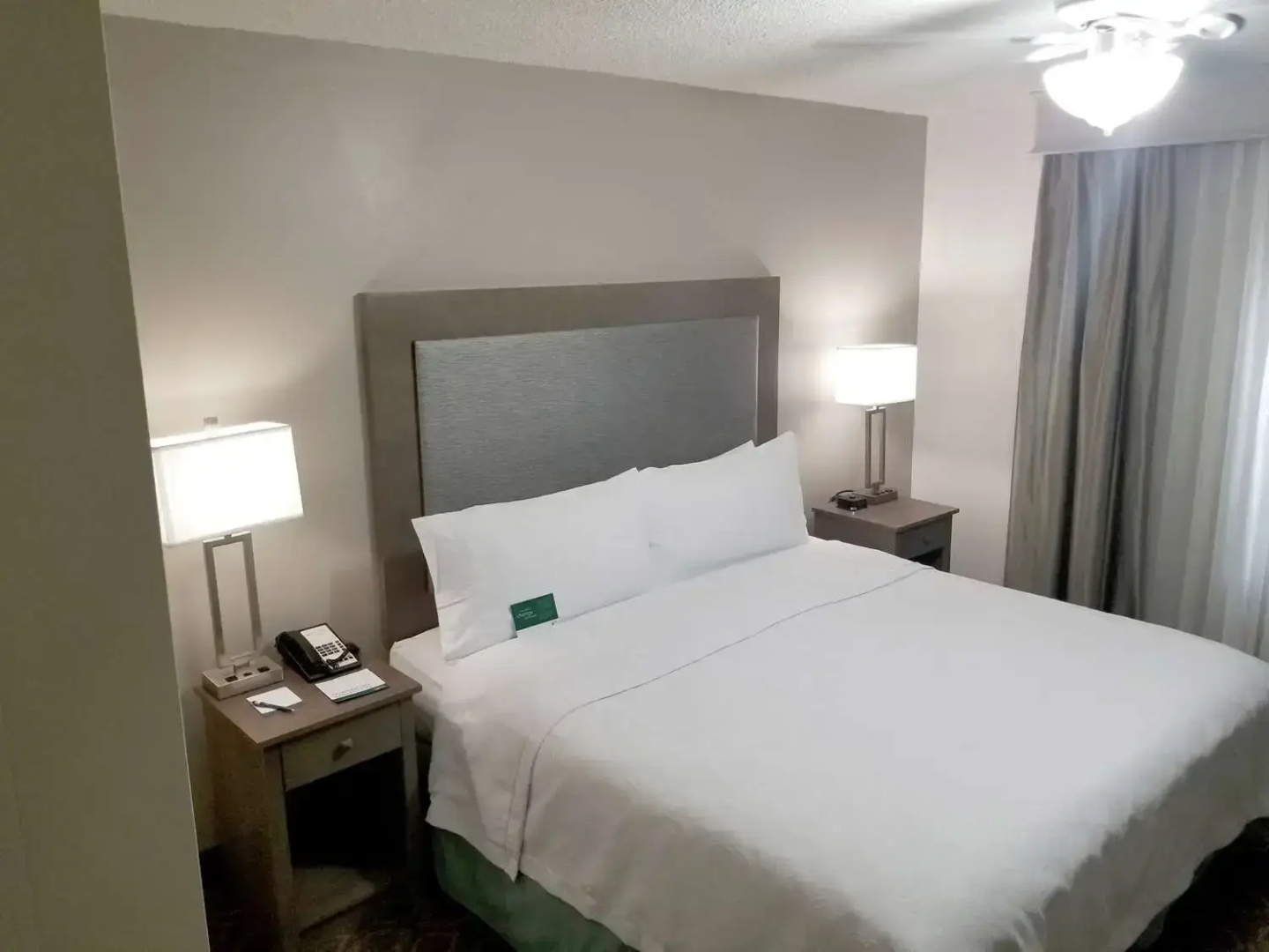 Foto - Homewood Suites by Hilton Orlando-Maitland