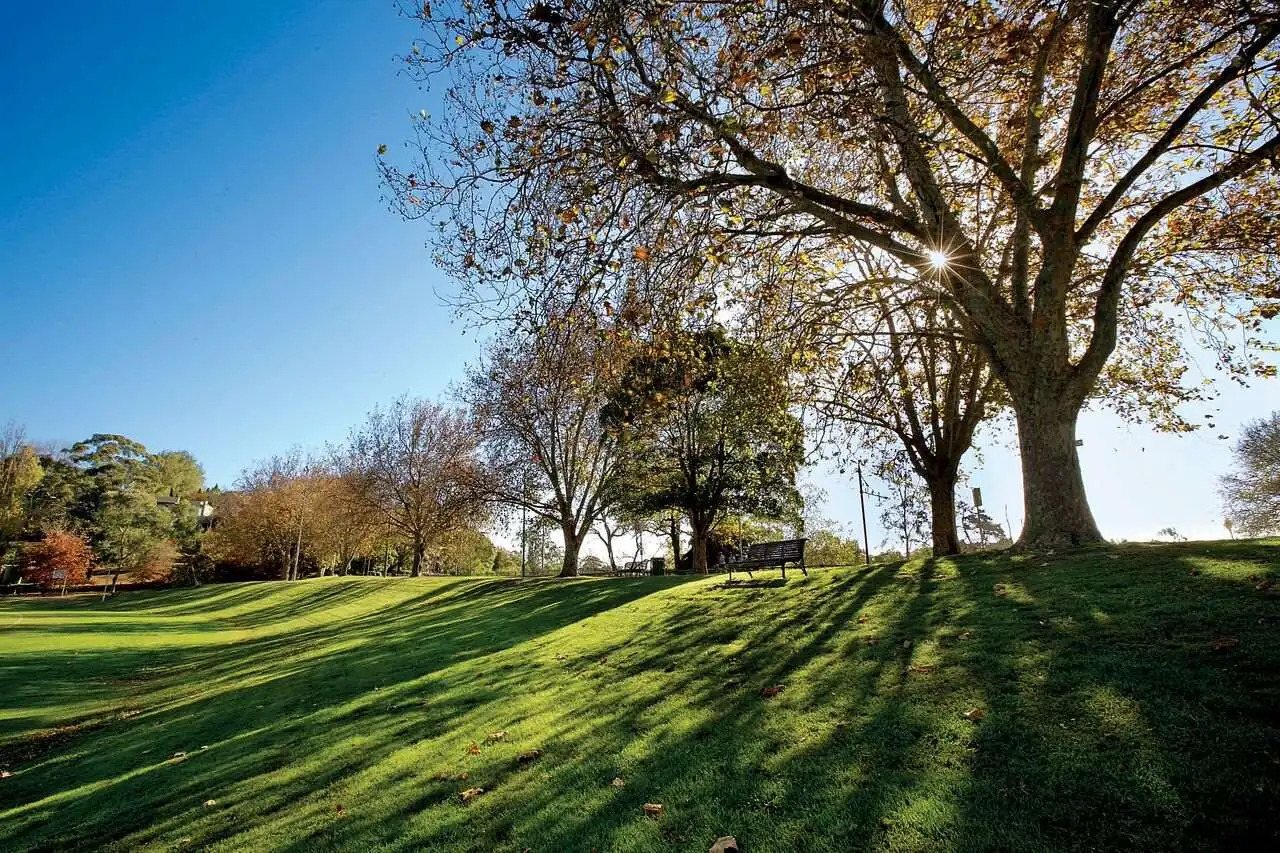 Foto - Avani Melbourne Jazz Corner Residences