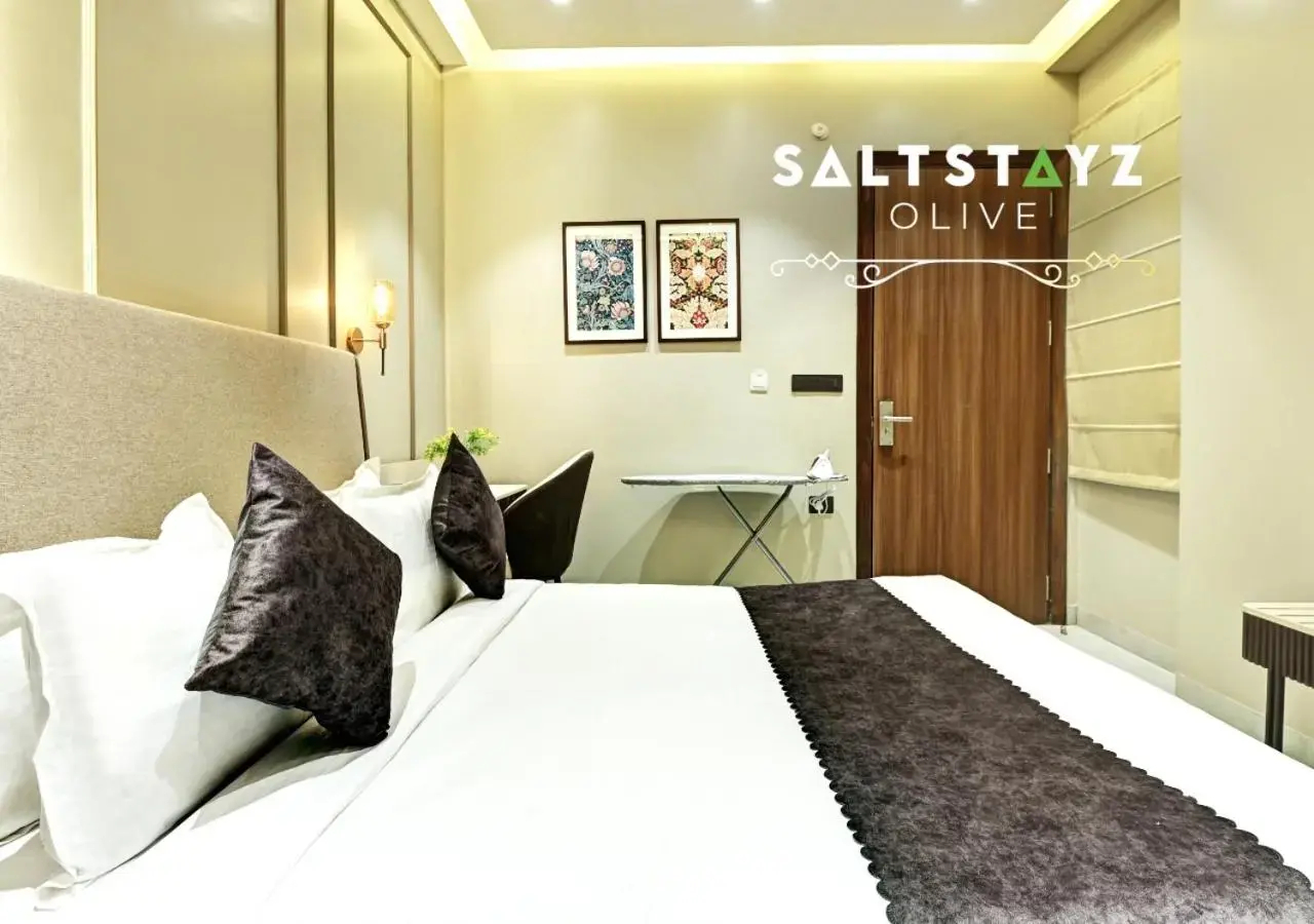Foto - Saltstayz Select - Pitampura