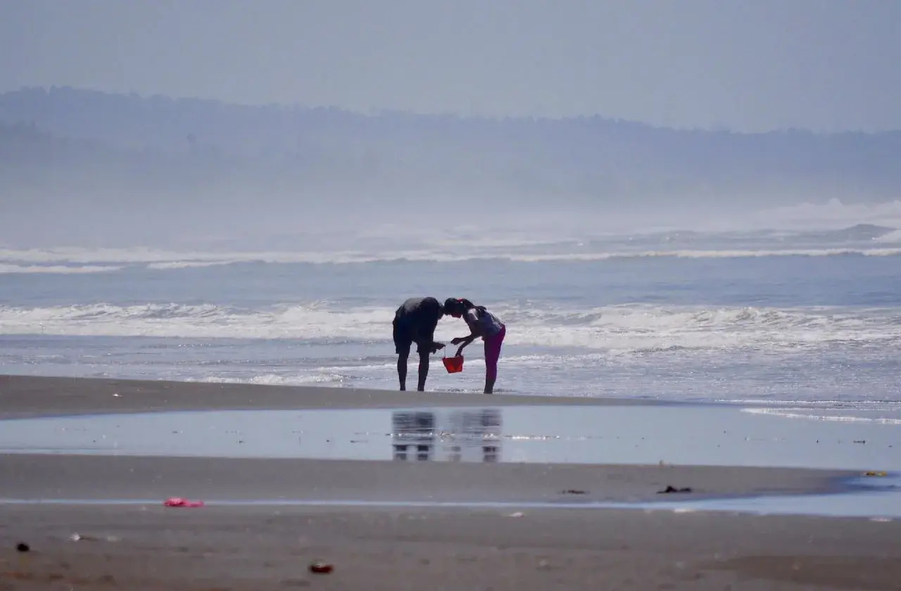 Foto - Medewi Bay Retreat