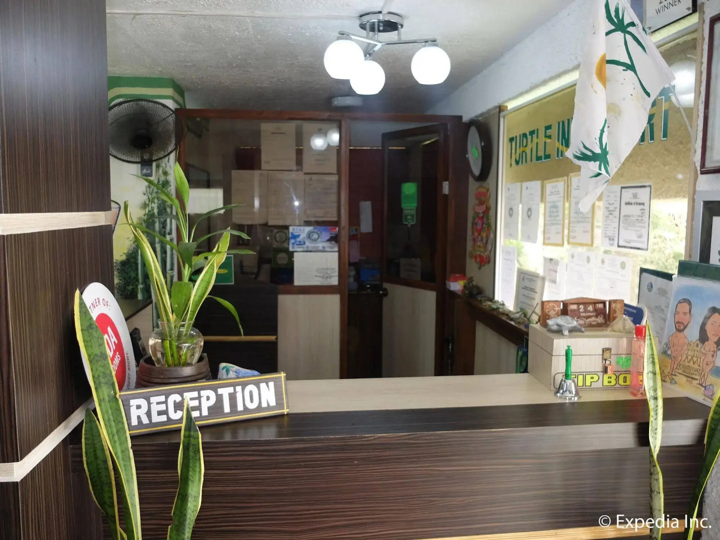 Photo - Turtle Inn Resort