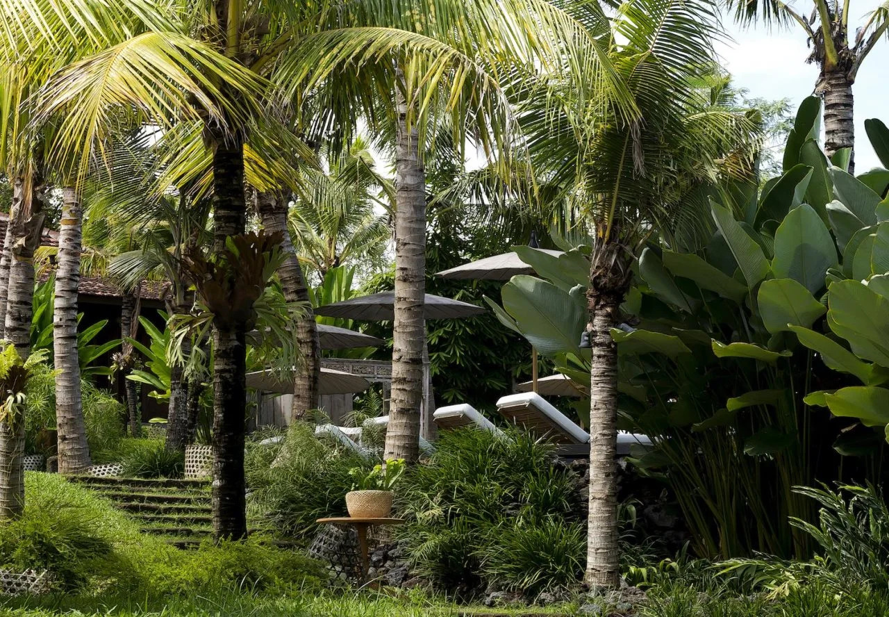 Photo - Kalapa Boutique Resort & Yoga