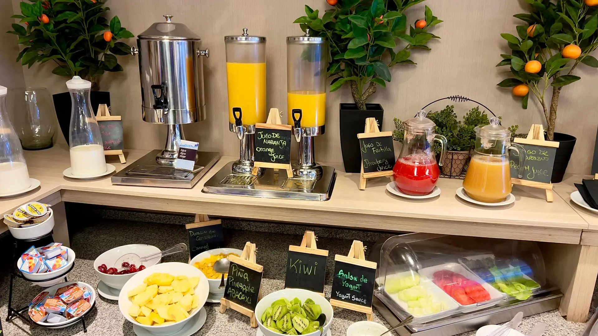 Foto - Panamericana Hotel Providencia