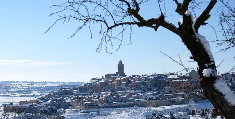 Foto - Hostal Bonavista