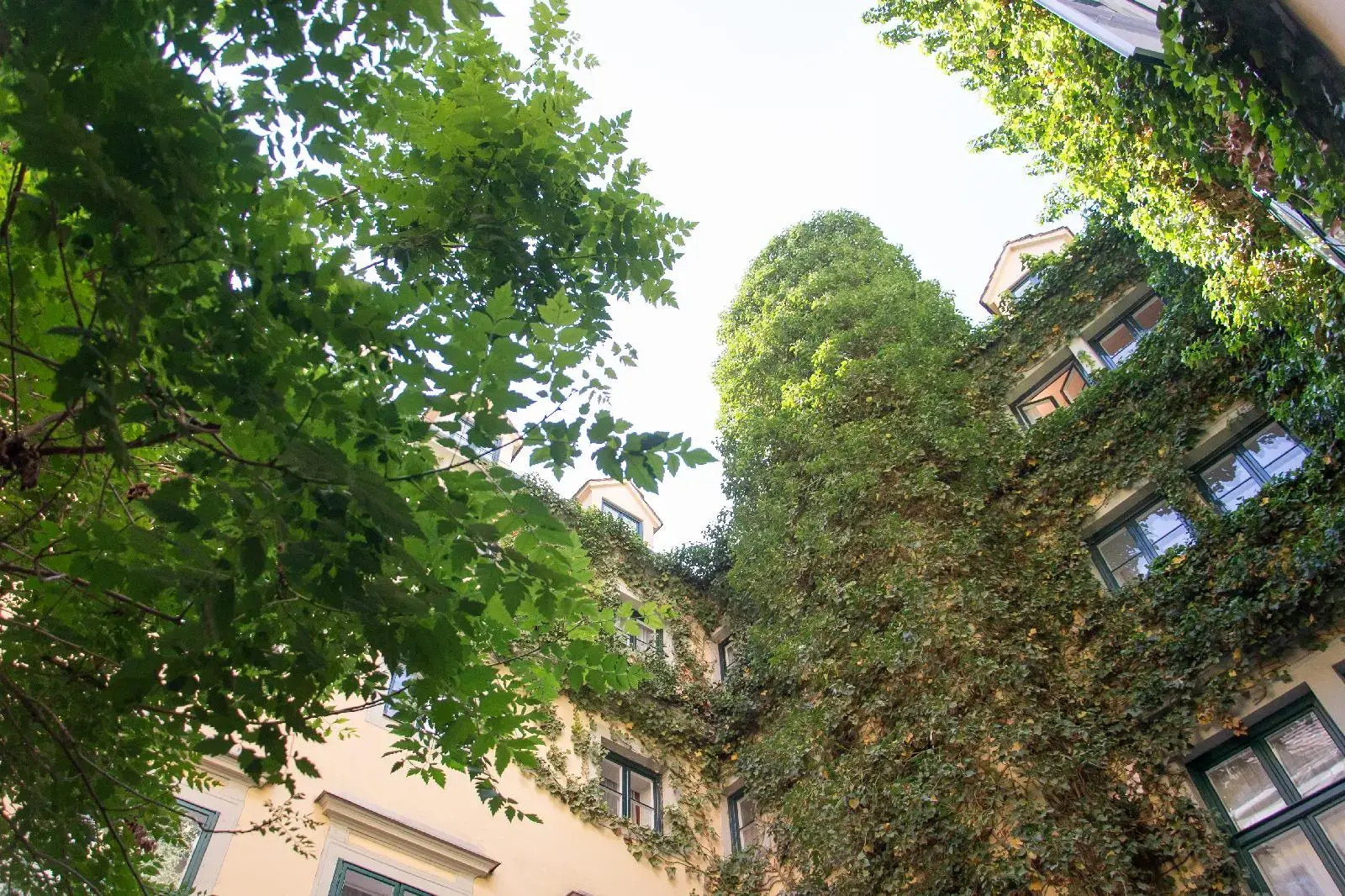 Photo - Hotel Palais Mailberger Hof