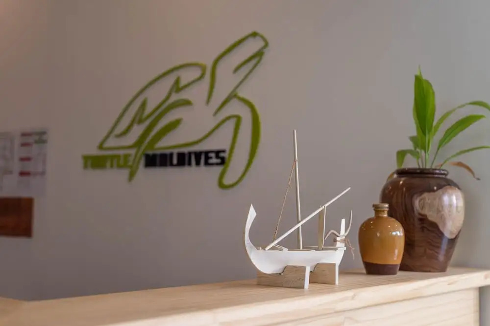Photo - Turtle Maldives - Your Gateway to the Beach & Marine Adventures Await!