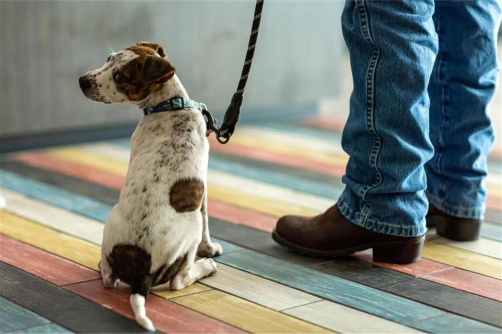 Photo - Studio 6 North Las Vegas, NV