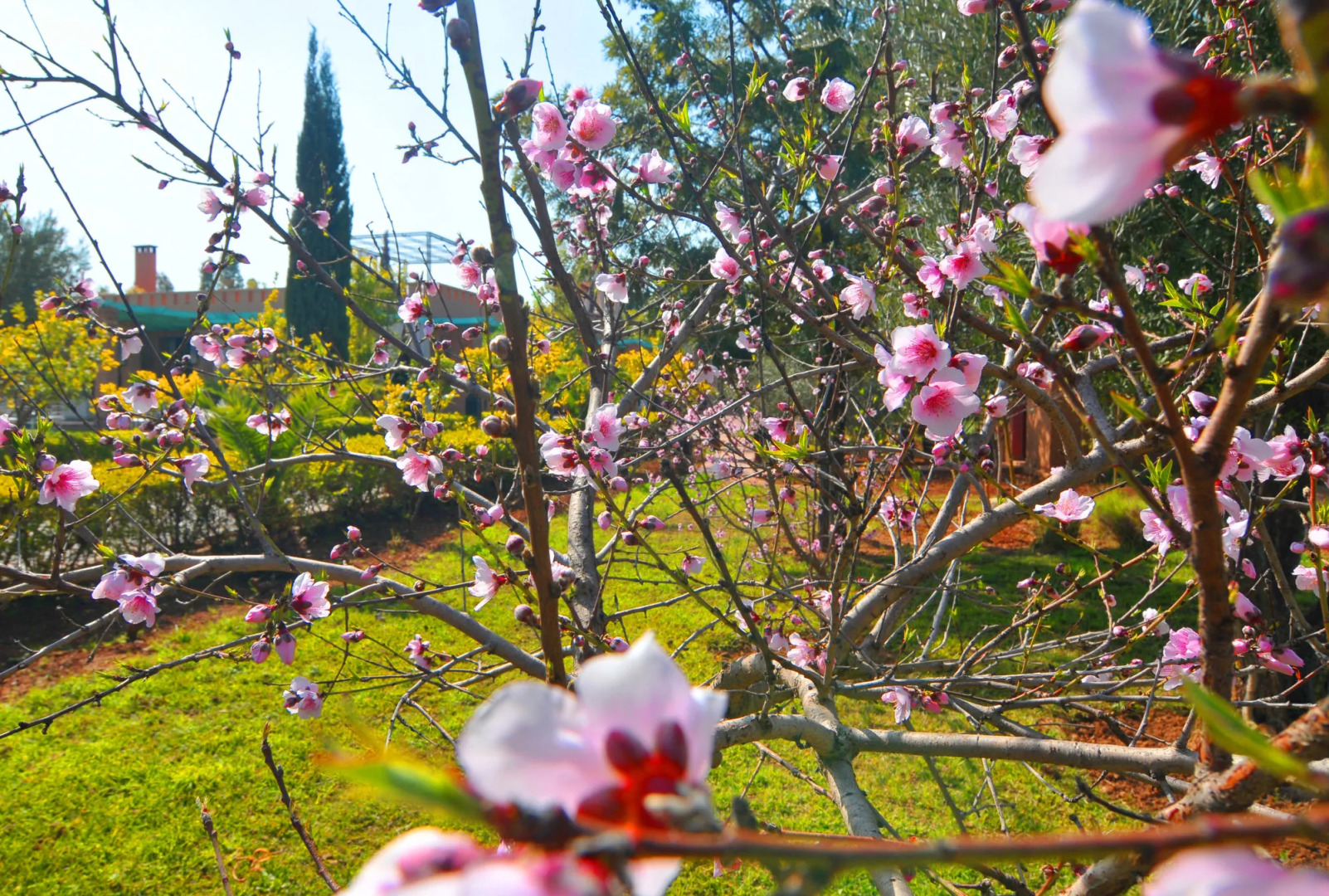 Foto - Riad Jawad & Spa