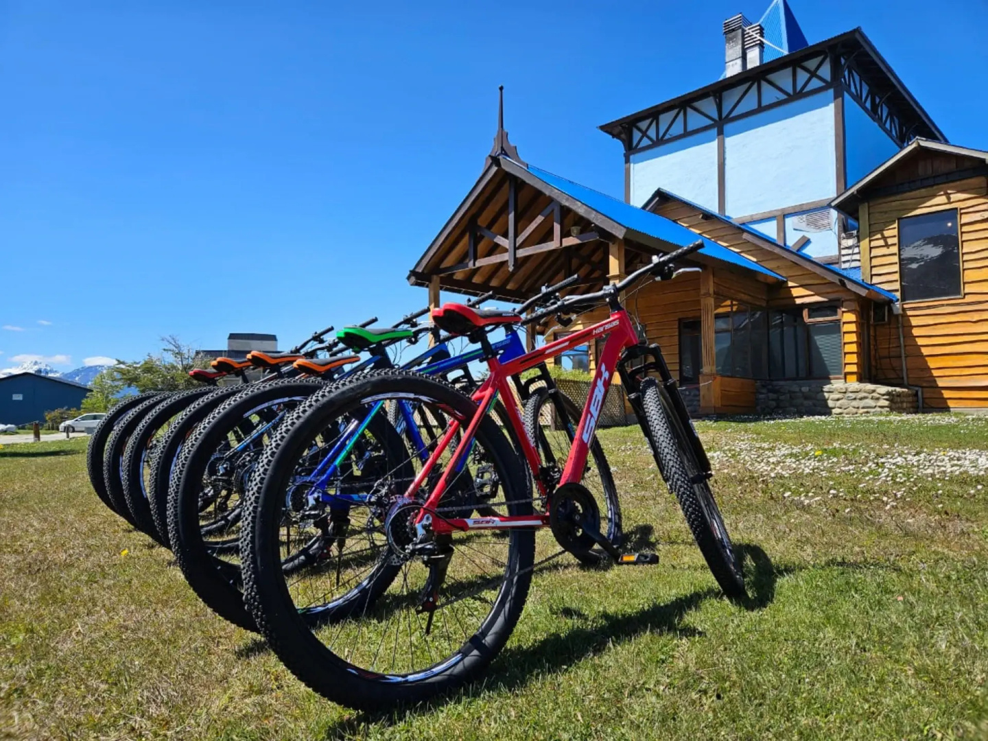 Photo - Los Ñires Ushuaia