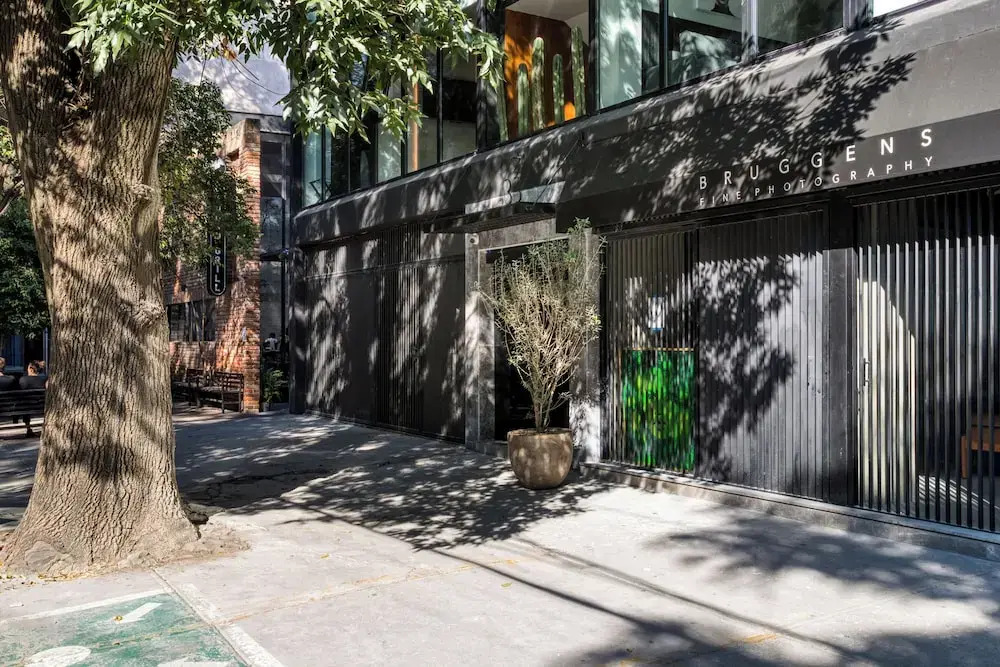 Foto - ULIV Park Polanco