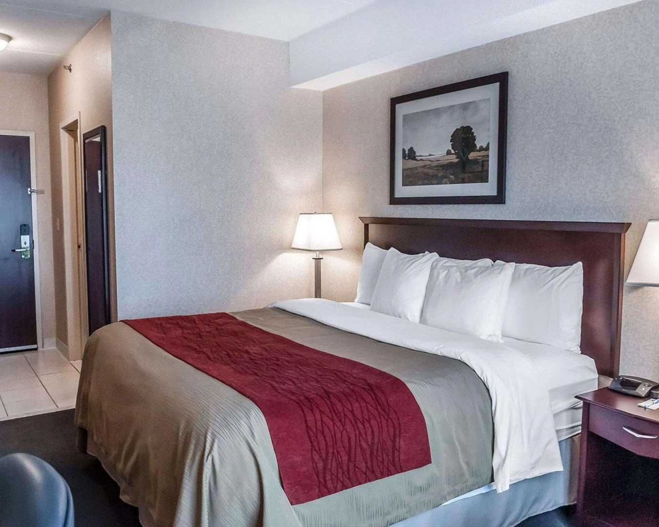 Foto - Comfort Inn Mississauga