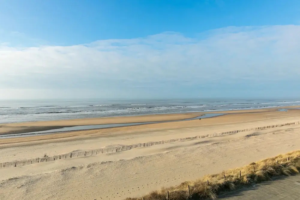 Photo - Beachhouse Hotel