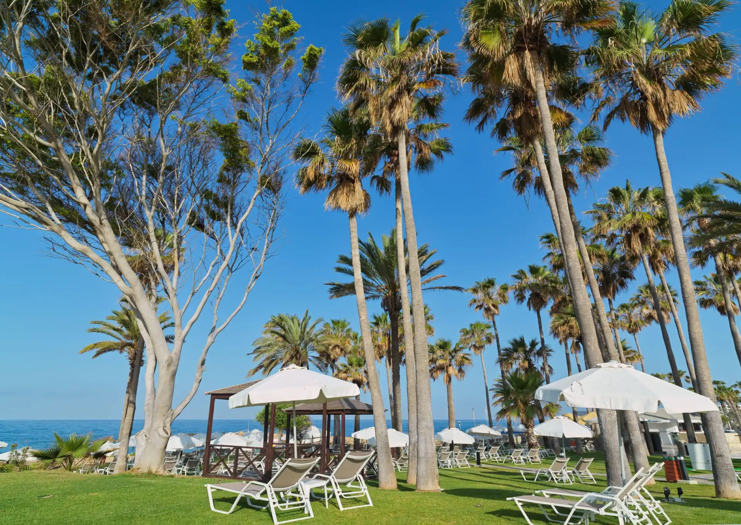 Photo - Leonardo Plaza Cypria Maris Beach Hotel & Spa
