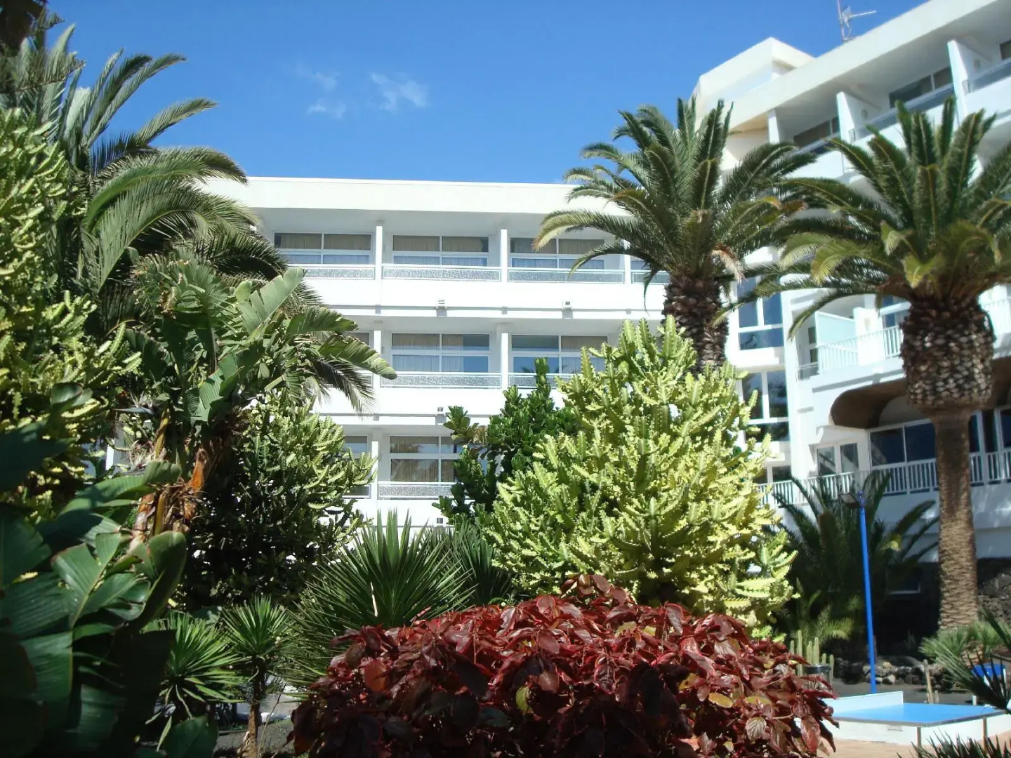 Foto - VIK Hotel San Antonio