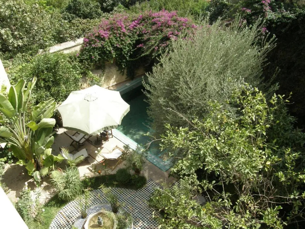 Foto - Ryad Mabrouka