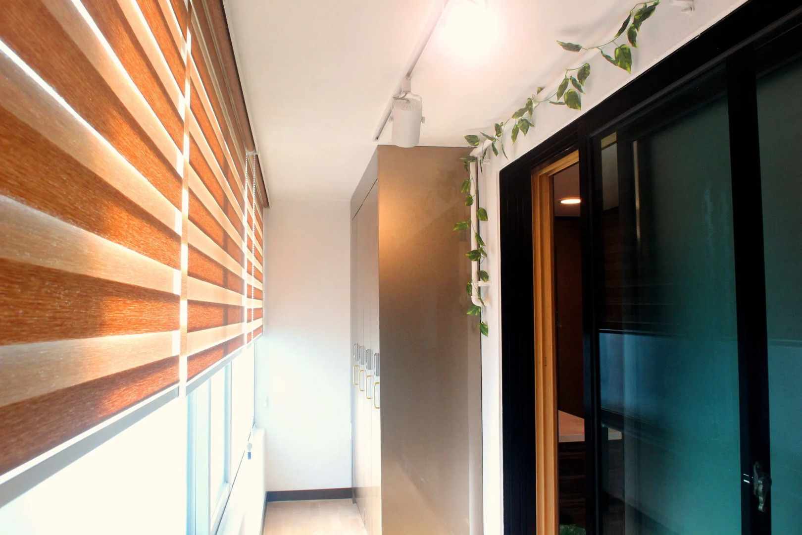 Photo - Forêt Guest House