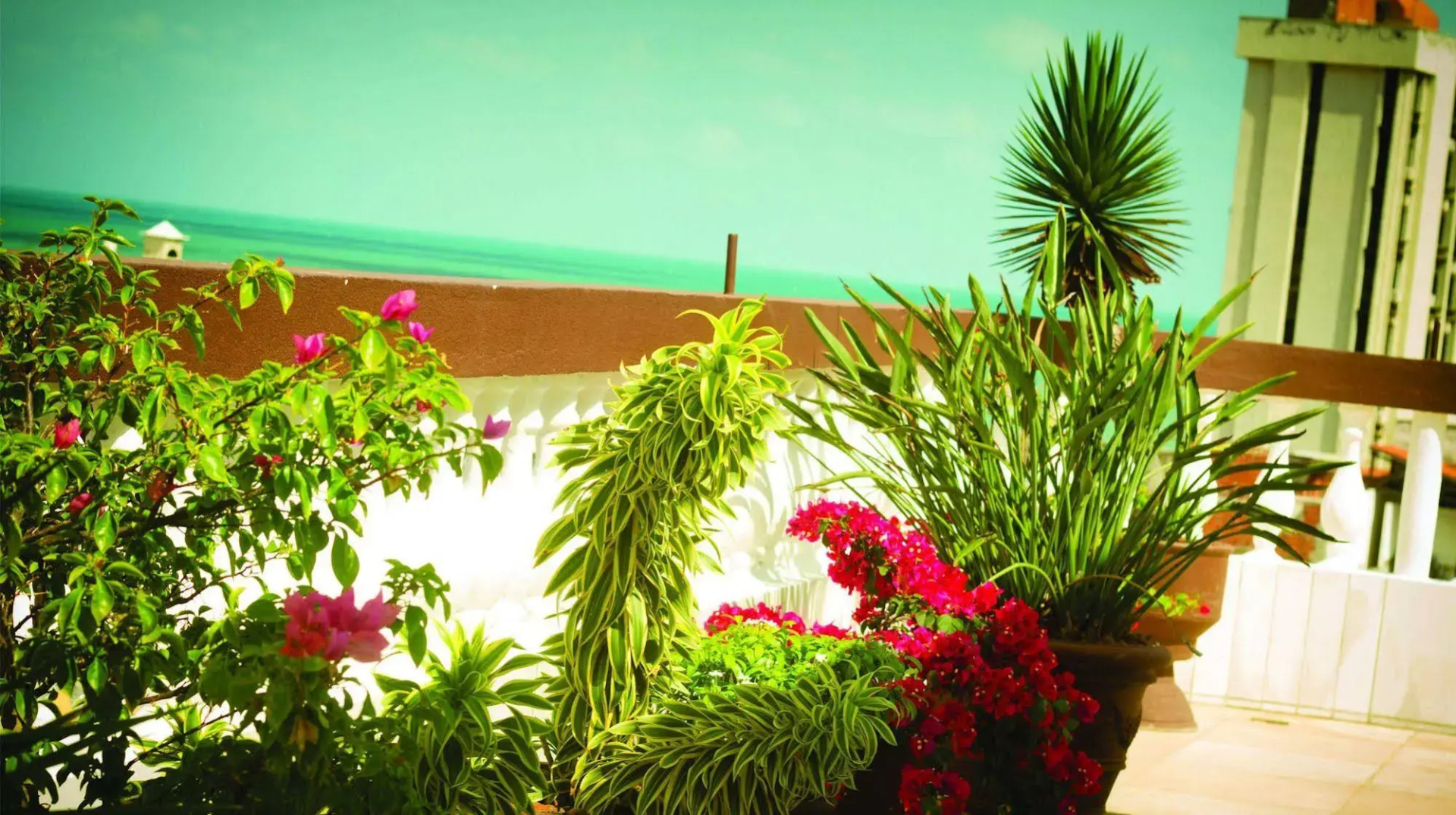 Photo - Algarve Praia Hotel