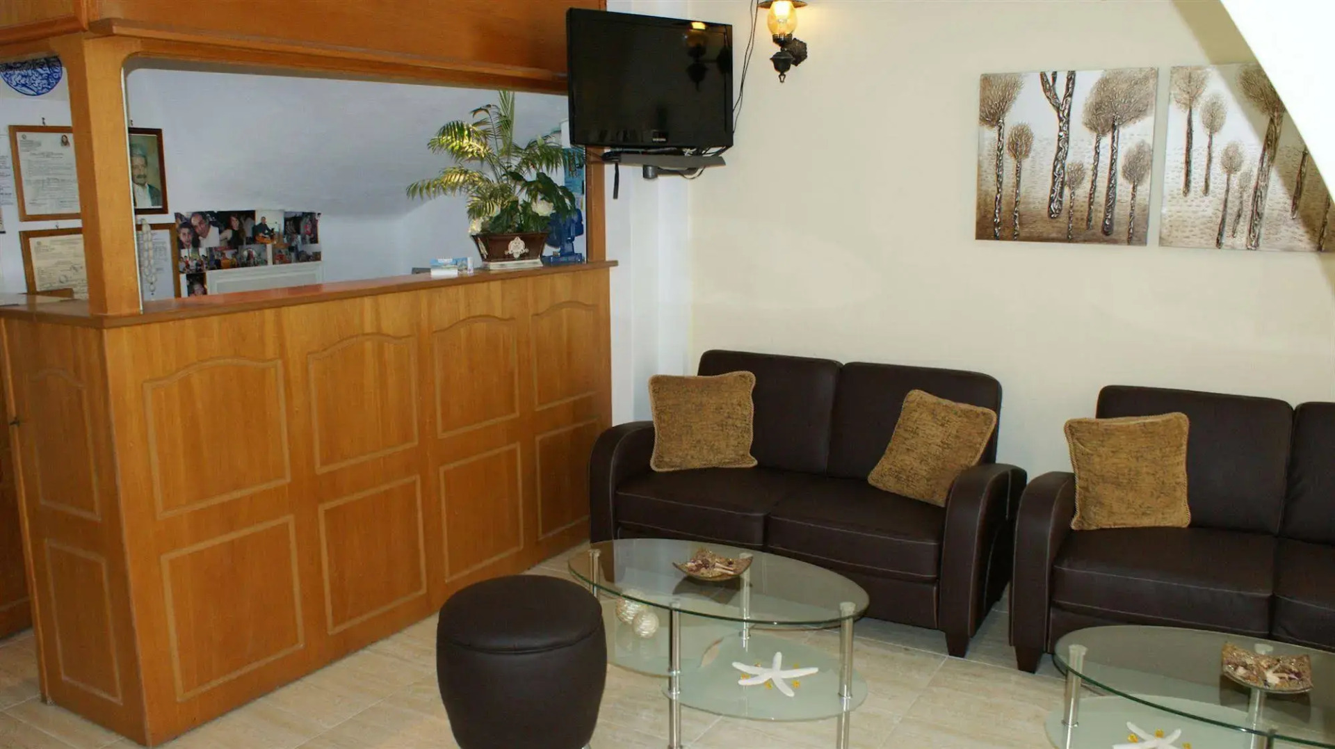 Foto - Hotel Zeus