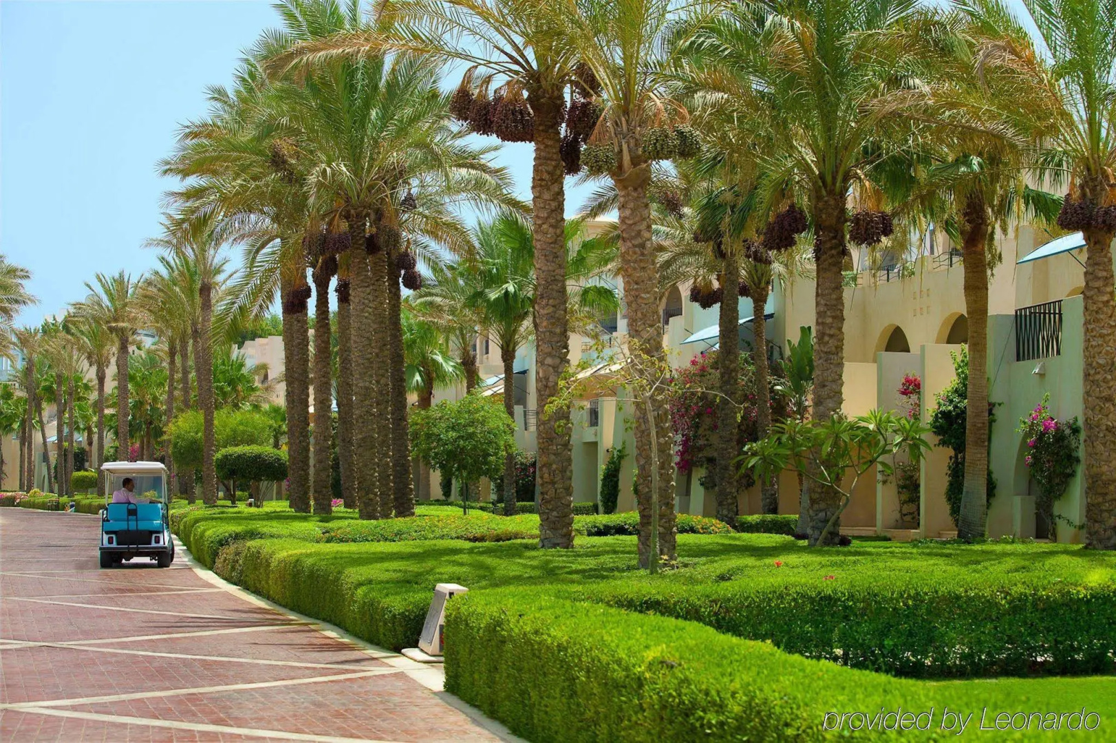 Photo - Grand Rotana Hotel Resort and Spa