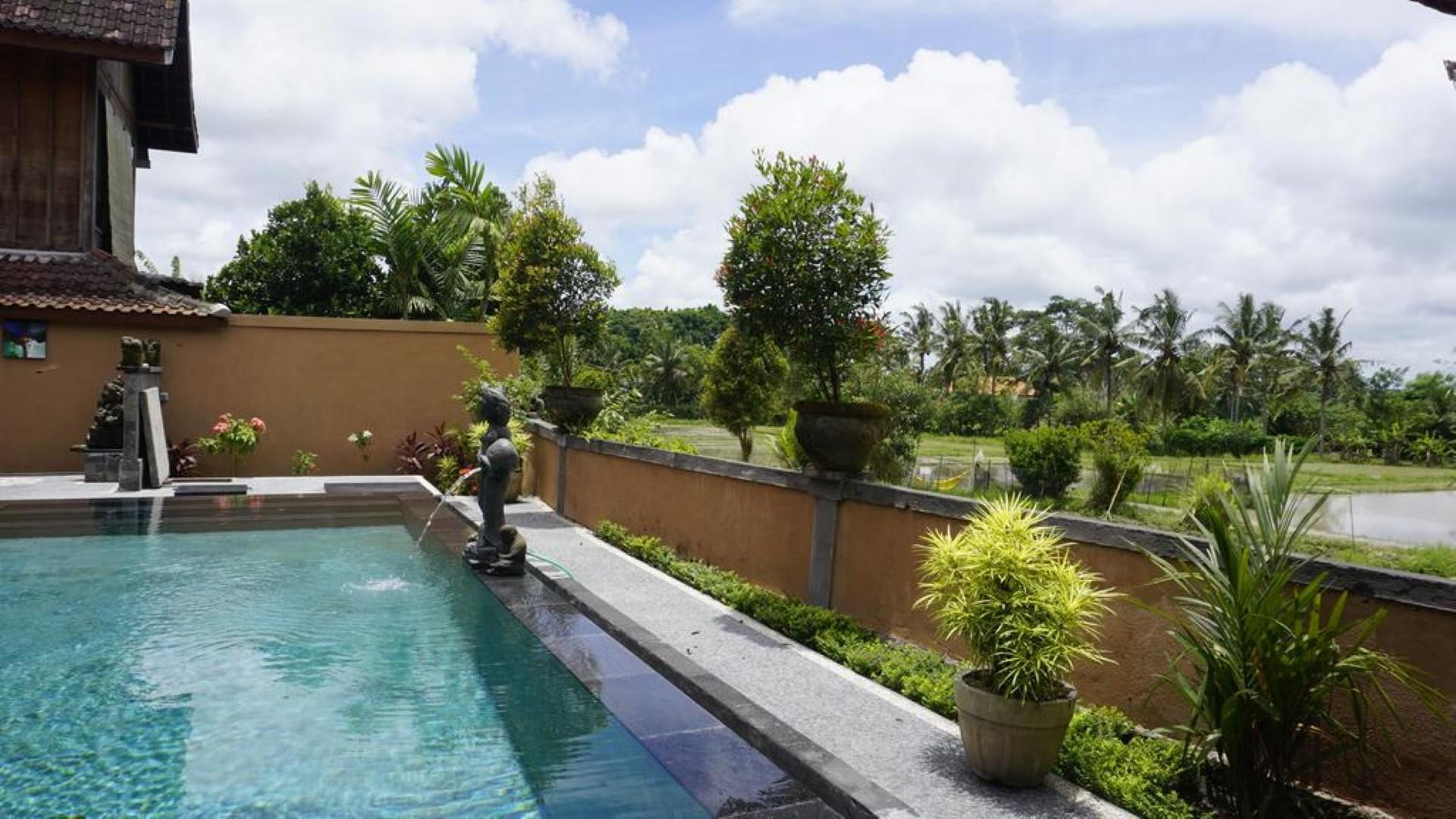 Photo - Sari Bamboo Bungalows