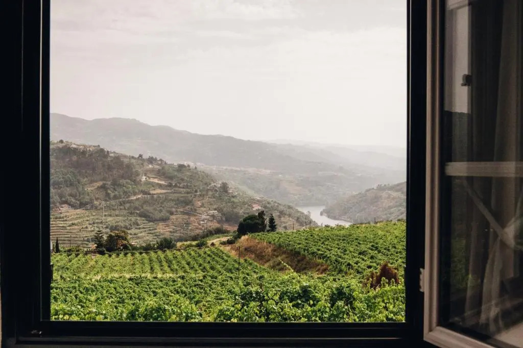 Foto - Quinta De Guimaraes