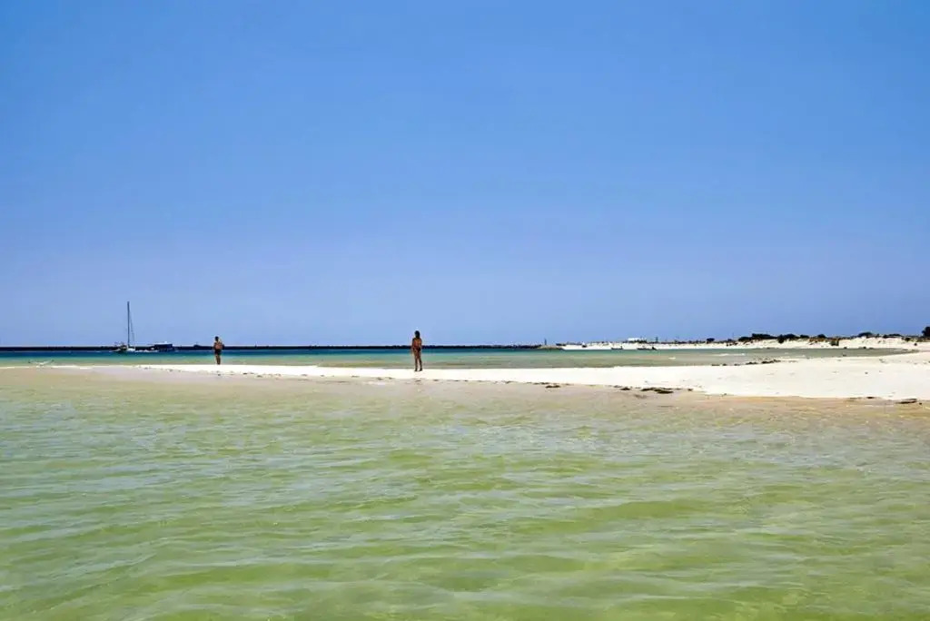 Photo - Occidental Faro