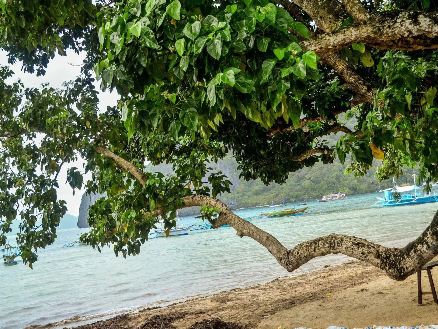 Foto - Dormitelsph El Nido