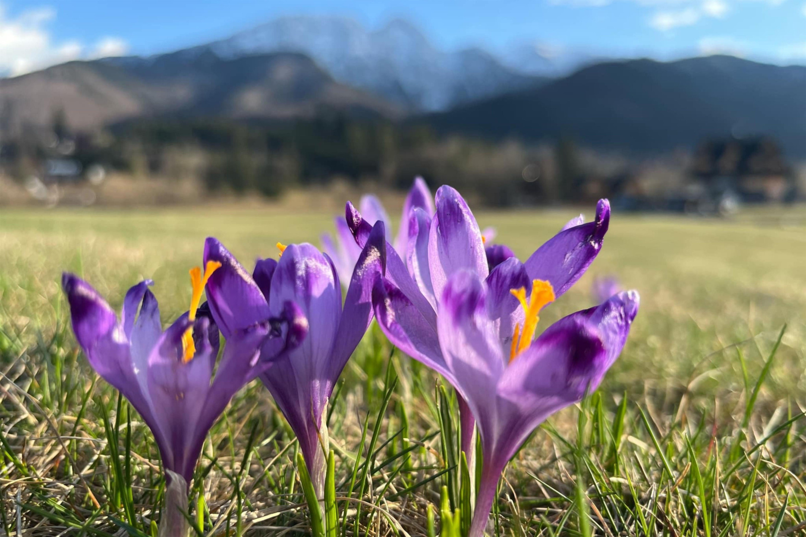 Foto - Radisson Blu Hotel & Residences, Zakopane