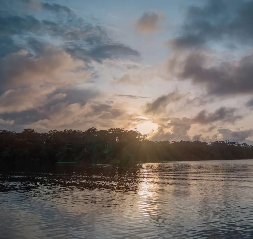 Foto - Hotel Serendipity tortuguero