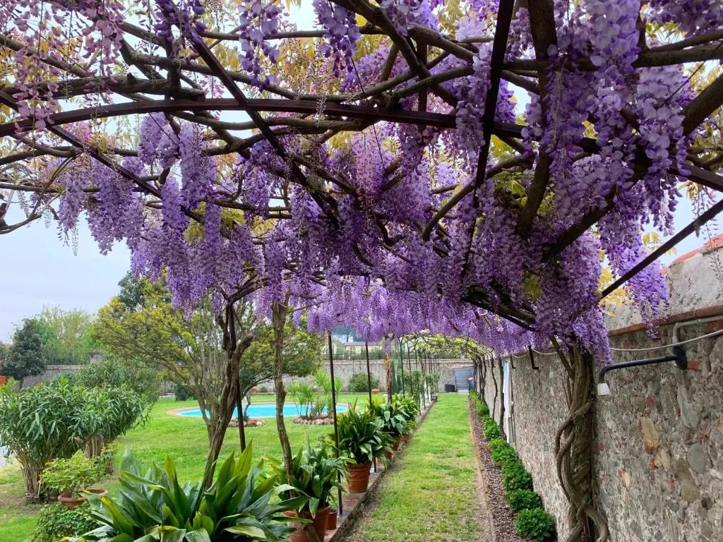 Photo - Villa La Preziosa