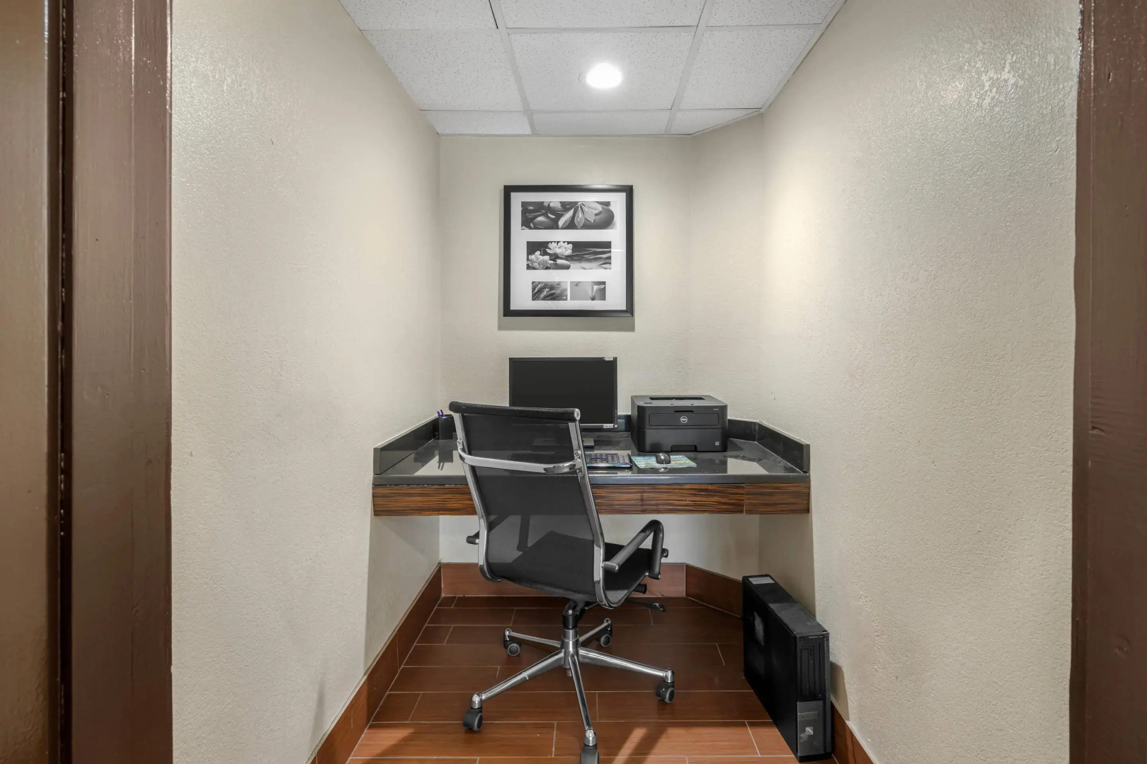 Foto - Sleep Inn near Busch Gardens - USF