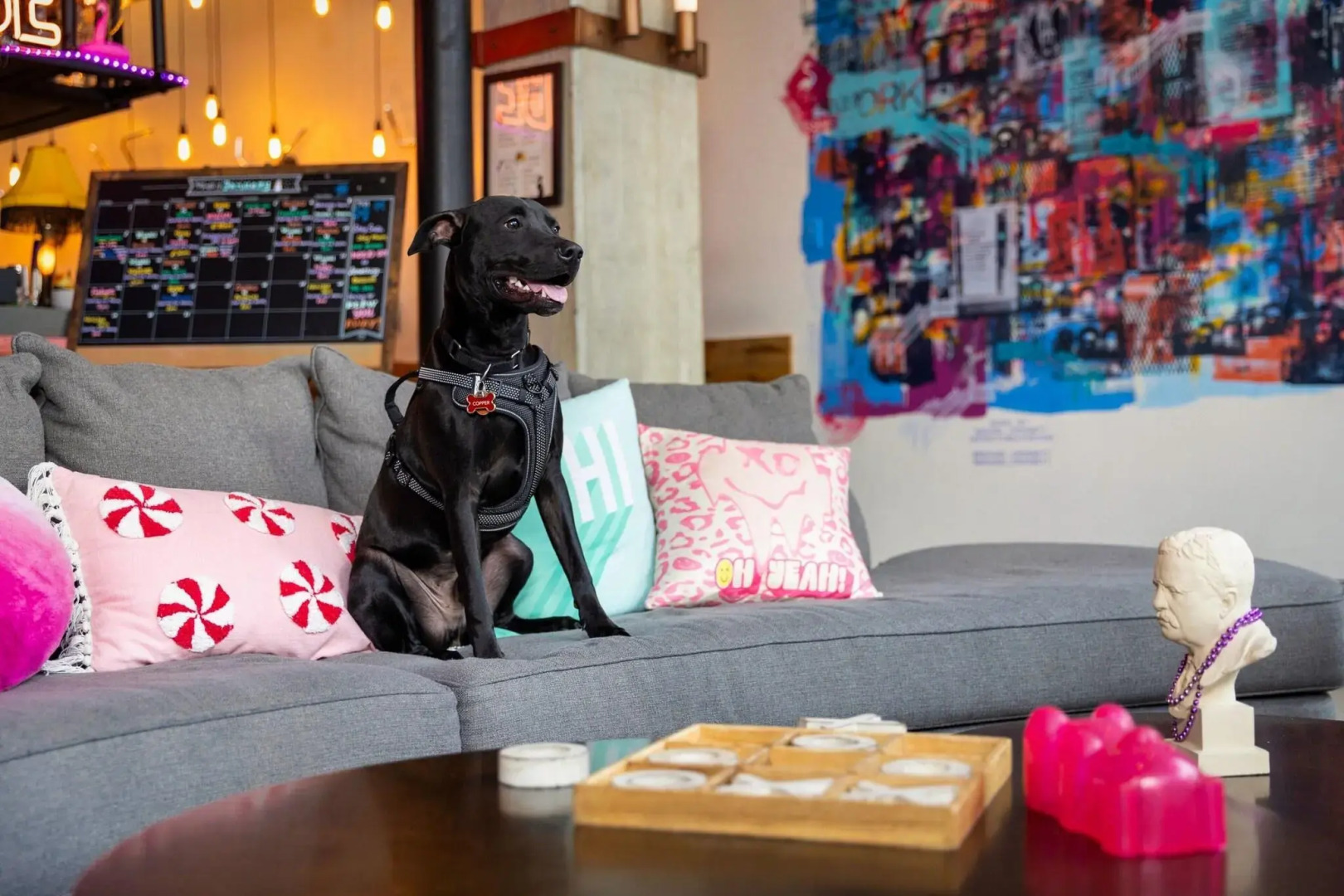 Foto - Moxy Washington, DC Downtown