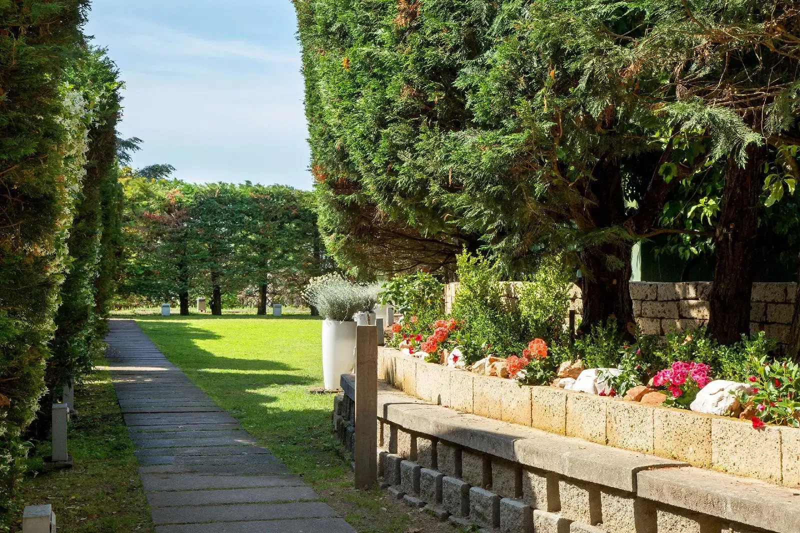 Foto - Montespina Park Hotel