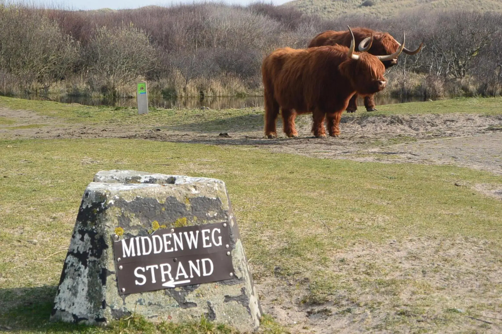 Foto - Strandhotel Golfzang