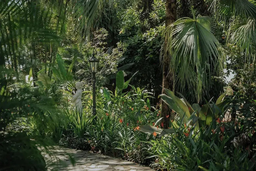 Foto - Vista Suites at Parador - Adults Only